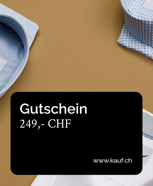 Gutschein 249,-CHF