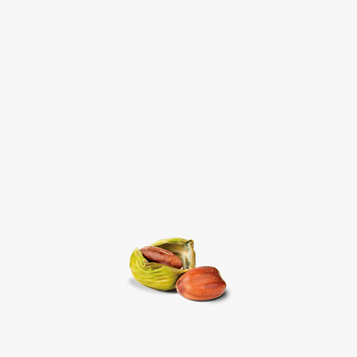 detailseite_jojoba_quadratisch_1200x1200